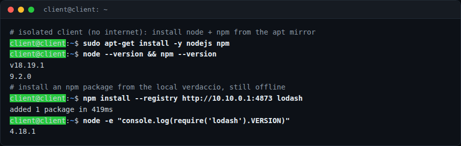 نصب package npm روی کلاینت بدون اینترنت از verdaccio
