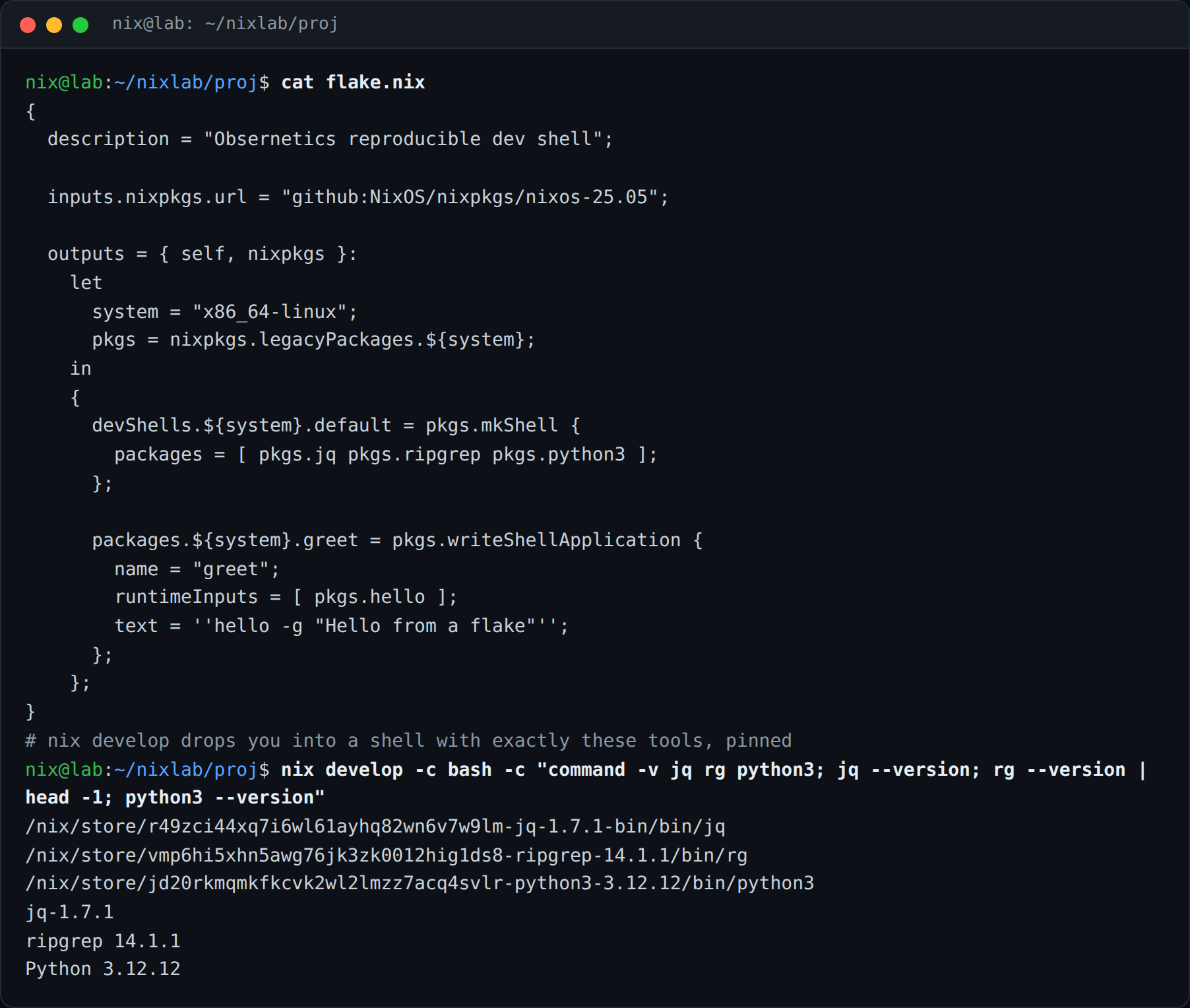 فایل flake.nix و ورود به dev shell با nix develop و نمایش نسخه‌های پین‌شده
