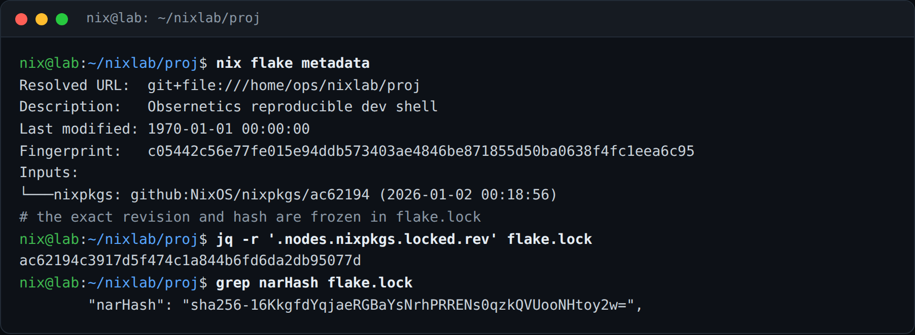 خروجی nix flake metadata و نسخه‌ی قفل‌شده‌ی Nixpkgs در flake.lock